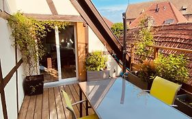Joli 2 pièces, avec climatisation et grande terrasse, vue sur les toits, zone piétonne